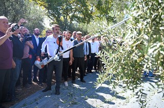 Zeytinin Başkentinde Hasat Sezonu Dualarla Açıldı